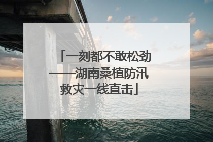 一刻都不敢松劲——湖南桑植防汛救灾一线直击