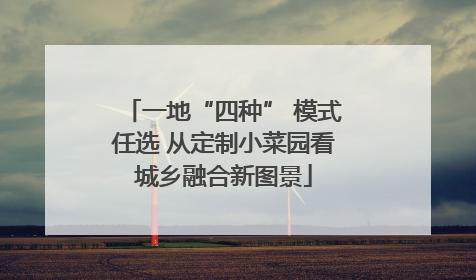 一地“四种” 模式任选 从定制小菜园看城乡融合新图景