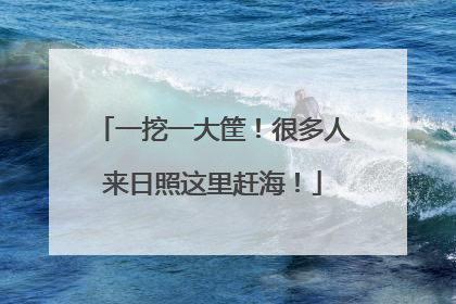 一挖一大筐！很多人来日照这里赶海！