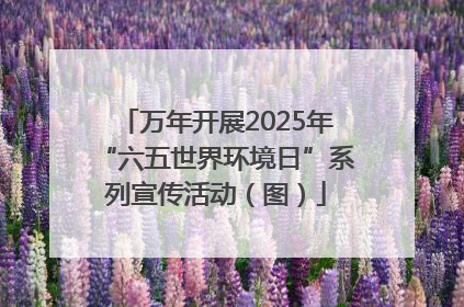 万年开展2025年“六五世界环境日”系列宣传活动（图）