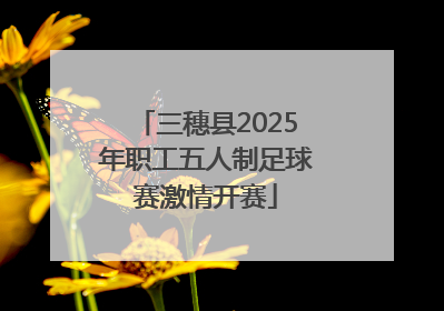 三穗县2025年职工五人制足球赛激情开赛