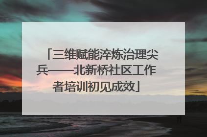 三维赋能淬炼治理尖兵——北新桥社区工作者培训初见成效