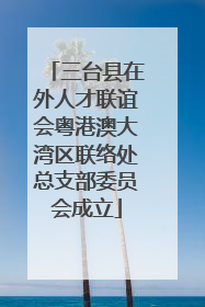 三台县在外人才联谊会粤港澳大湾区联络处总支部委员会成立