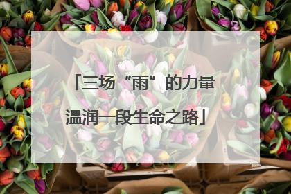 三场“雨”的力量温润一段生命之路