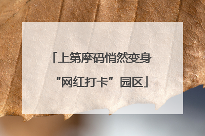 上第摩码悄然变身“网红打卡”园区