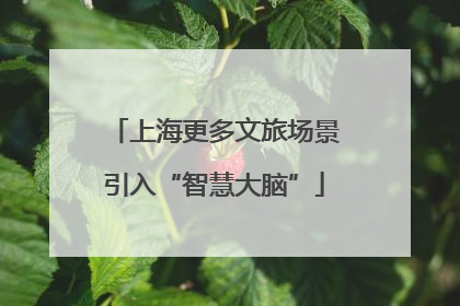 上海更多文旅场景引入“智慧大脑”