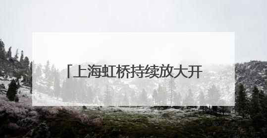 上海虹桥持续放大开放新模式，加强海外发展服务中心建设