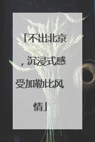 不出北京，沉浸式感受加勒比风情