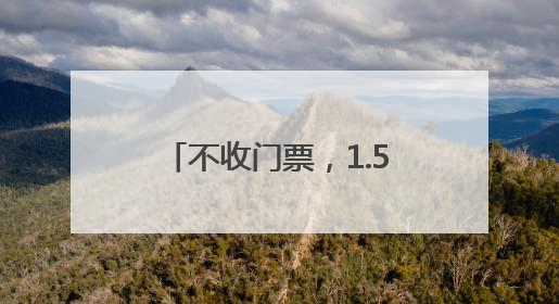 不收门票，1.5万平方米月季园爆火！一起去三好桥头看“龙凤呈祥”
