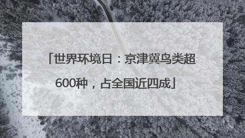 世界环境日：京津冀鸟类超600种，占全国近四成