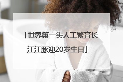 世界第一头人工繁育长江江豚迎20岁生日