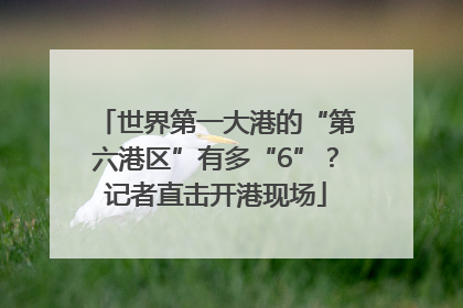 世界第一大港的“第六港区”有多“6”？记者直击开港现场