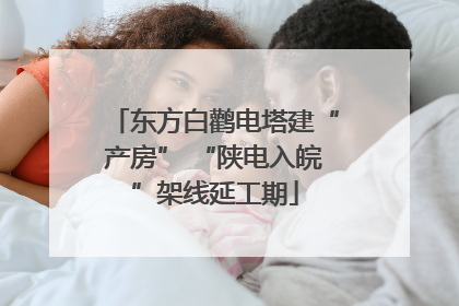 东方白鹳电塔建“产房” “陕电入皖”架线延工期