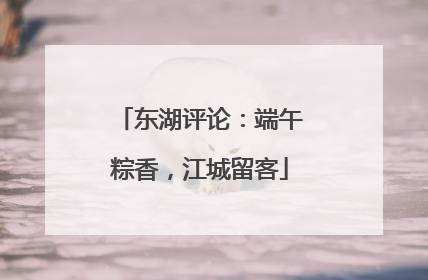 东湖评论：端午粽香，江城留客