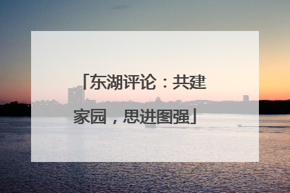 东湖评论：共建家园，思进图强