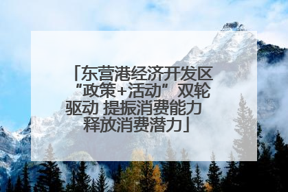 东营港经济开发区“政策+活动”双轮驱动 提振消费能力 释放消费潜力