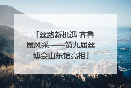 丝路新机遇 齐鲁展风采——第九届丝博会山东馆亮相