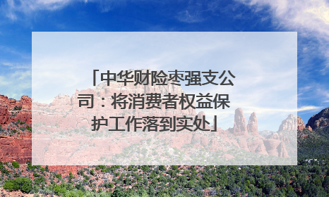 中华财险枣强支公司：将消费者权益保护工作落到实处