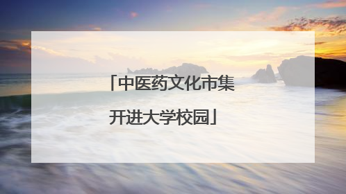 中医药文化市集开进大学校园
