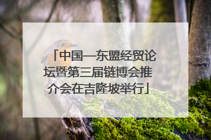 中国—东盟经贸论坛暨第三届链博会推介会在吉隆坡举行