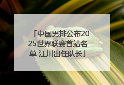 中国男排公布2025世界联赛首站名单 江川出任队长