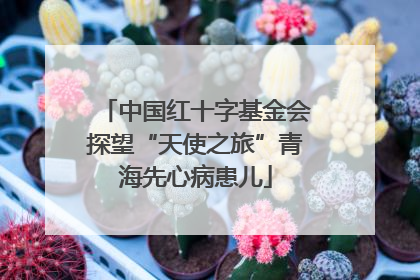 中国红十字基金会探望“天使之旅”青海先心病患儿