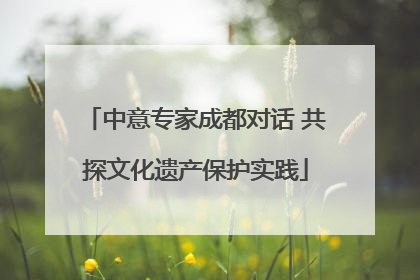 中意专家成都对话 共探文化遗产保护实践