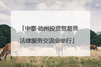 中泰·德州投资贸易暨法律服务交流会举行