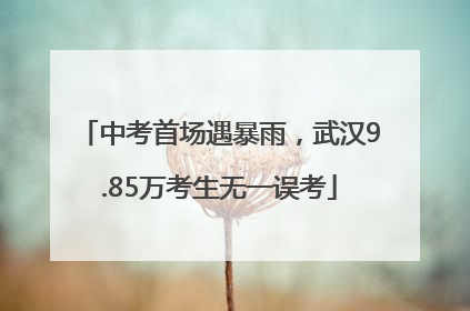 中考首场遇暴雨，武汉9.85万考生无一误考