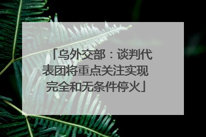 乌外交部：谈判代表团将重点关注实现完全和无条件停火