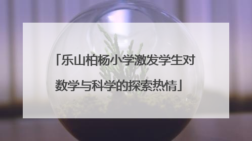 乐山柏杨小学激发学生对数学与科学的探索热情