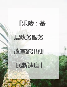 乐陵：基层政务服务改革跑出便民新速度