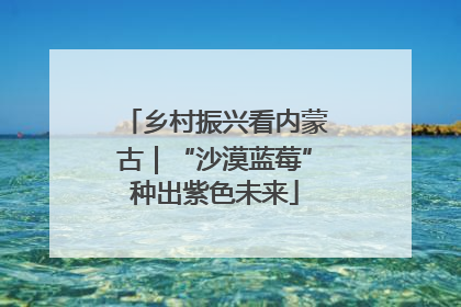 乡村振兴看内蒙古｜“沙漠蓝莓”种出紫色未来