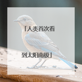人类首次看到太阳南极