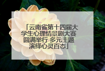 云南省第十四届大学生心理情景剧大赛圆满举行 多元主题演绎心灵百态