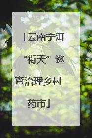 云南宁洱“街天”巡查治理乡村药市