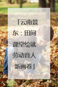 云南景东：田间课堂绘就劳动育人新画卷
