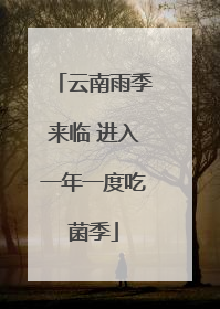 云南雨季来临 进入一年一度吃菌季