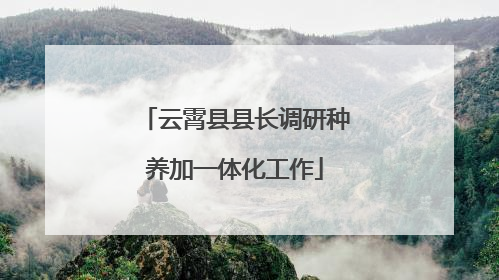 云霄县县长调研种养加一体化工作