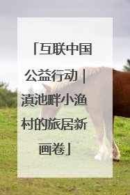 互联中国公益行动｜滇池畔小渔村的旅居新画卷