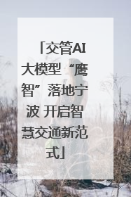 交管AI大模型“鹰智”落地宁波 开启智慧交通新范式