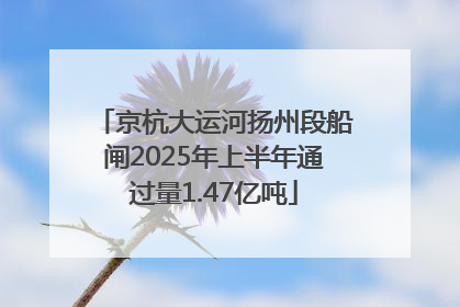 京杭大运河扬州段船闸2025年上半年通过量1.47亿吨