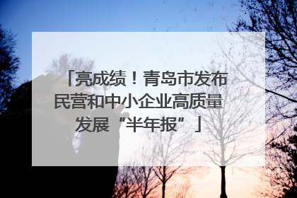 亮成绩！青岛市发布民营和中小企业高质量发展“半年报”