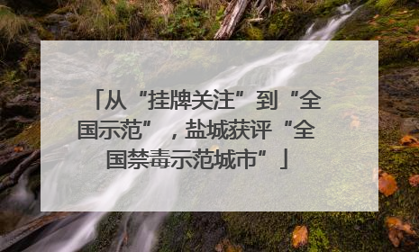 从“挂牌关注”到“全国示范”，盐城获评“全国禁毒示范城市”