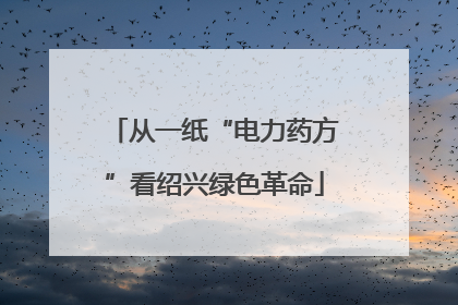 从一纸“电力药方”看绍兴绿色革命