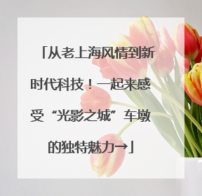从老上海风情到新时代科技！一起来感受“光影之城”车墩的独特魅力→