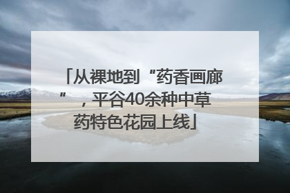 从裸地到“药香画廊”，平谷40余种中草药特色花园上线