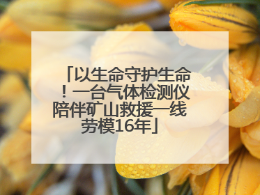 以生命守护生命！一台气体检测仪陪伴矿山救援一线劳模16年