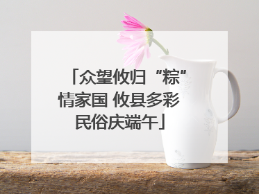 众望攸归“粽”情家国 攸县多彩民俗庆端午