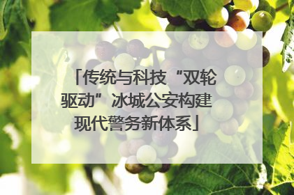 传统与科技“双轮驱动”冰城公安构建现代警务新体系